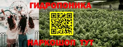 эйфоретик Гай