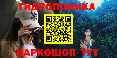 ГАЛЛЮЦИНОГЕННЫЕ ГРИБЫ Гатчина