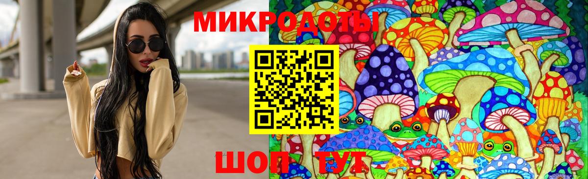 где купить наркоту  Галлюциногенные грибы Psilocybe  Якутск  Вход с VPN  Галлюциногенные грибы мицелий 